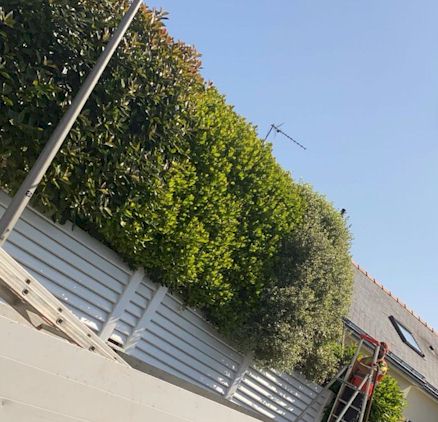 Image for Block 1