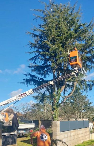 entreprise locale