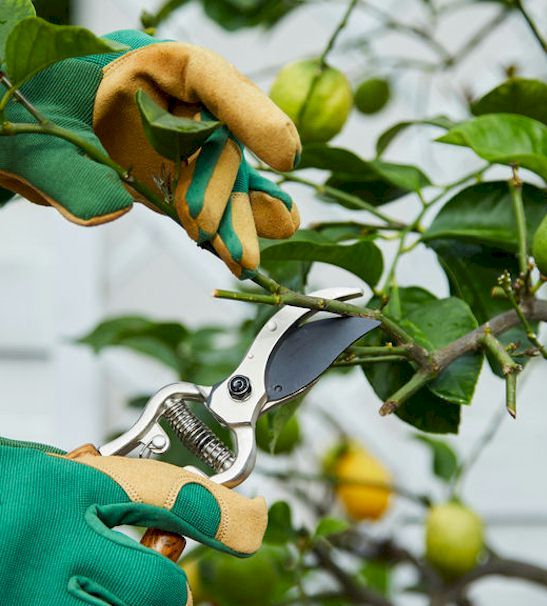 Jardinier-paysagiste saint-meme-le-tenu