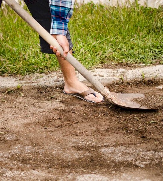 Rosiers saint-meme-le-tenu